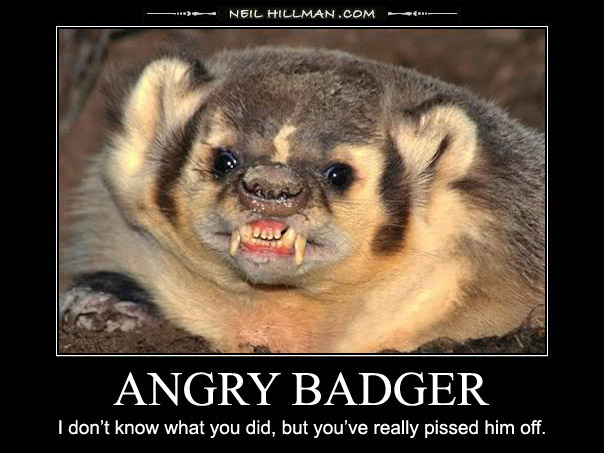 Demotivational Posters — by Neil Hillman