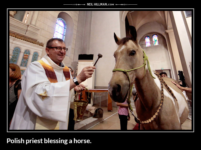 Polish priest blessing a horse