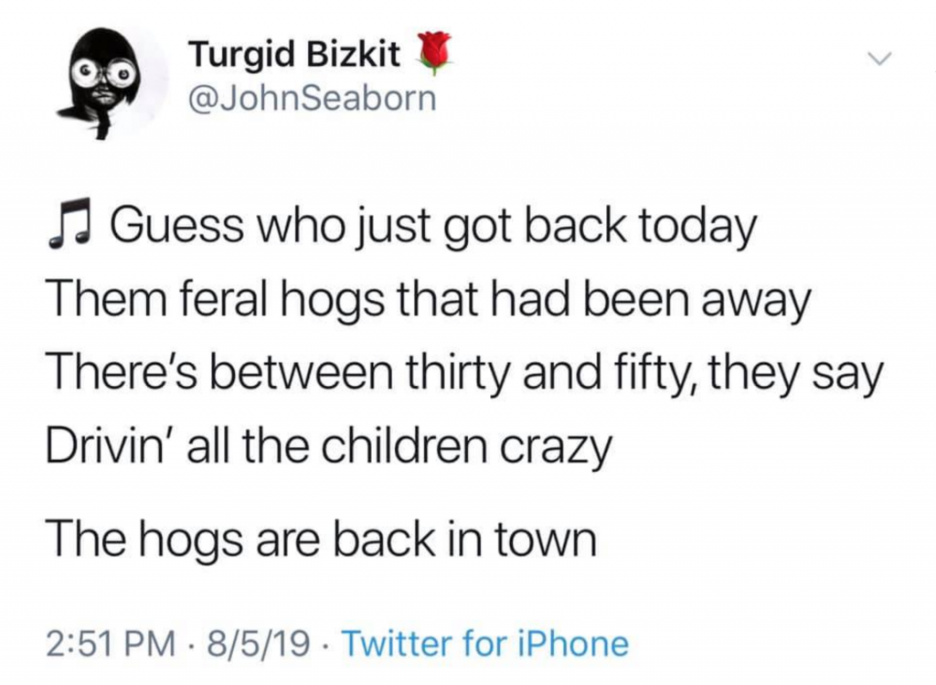 30-50 Feral Hogs meme