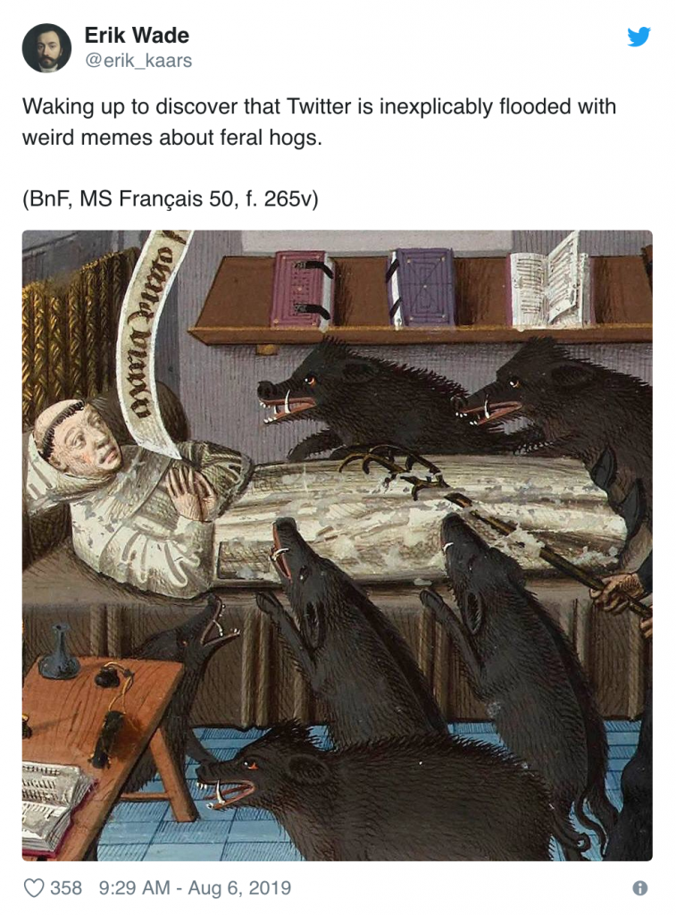 30-50 Feral Hogs meme