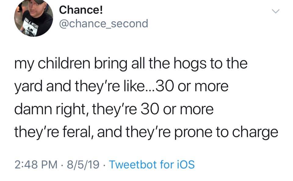 30-50 Feral Hogs meme