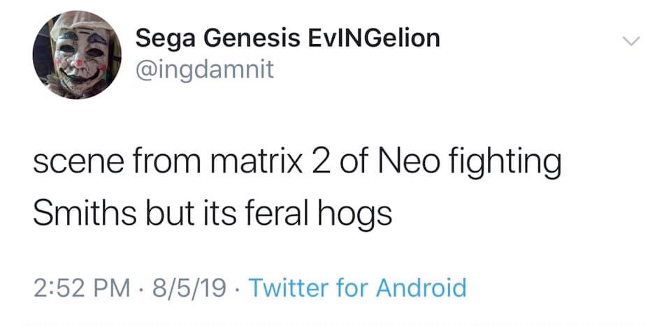 30-50 Feral Hogs meme