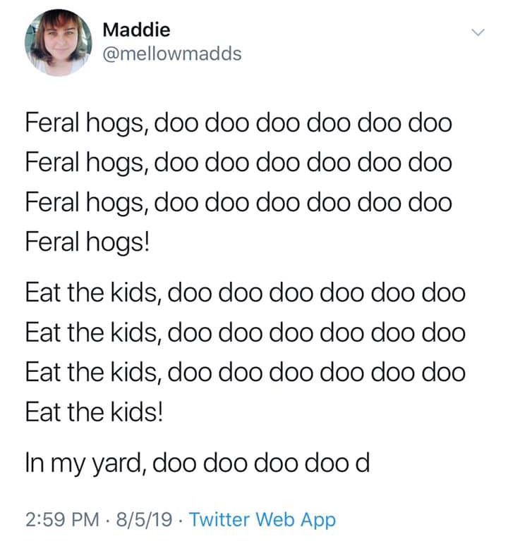 30-50 Feral Hogs meme