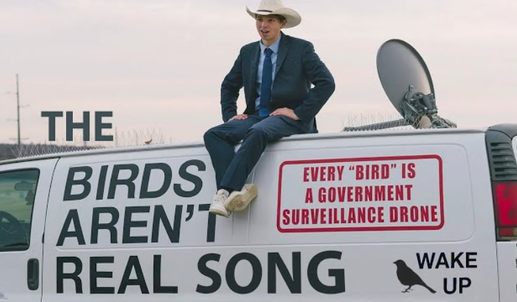 Birds Aren't Real song