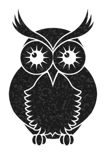 B&W Owl logo commissioned