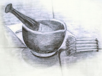 Pencil drawing of pestle and mortar still life